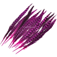 Перо фазана/ Пурпур